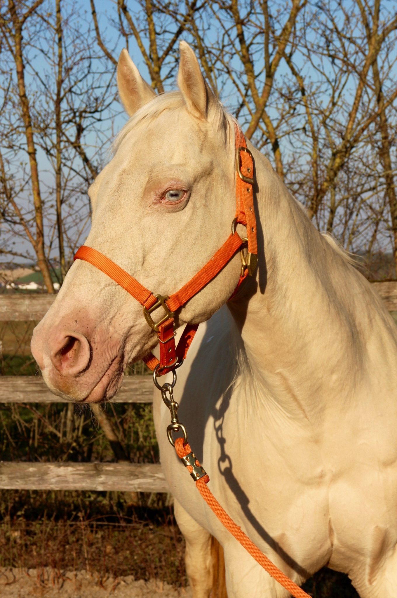 Yakima Sherwoodranch